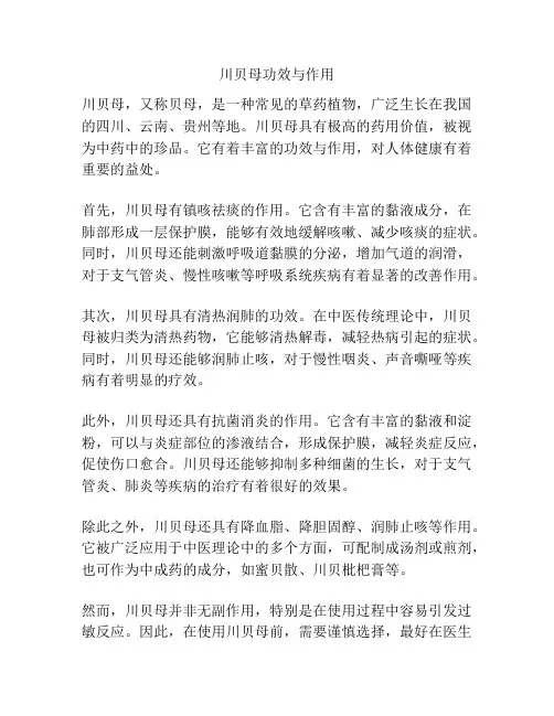 川贝母功效与作用