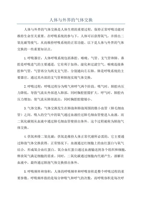 人体与外界的气体交换