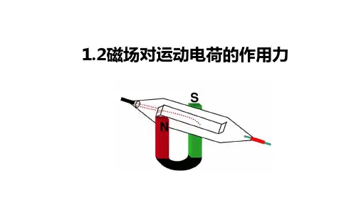 高中物理精品课件：磁场对运动电荷的作用力