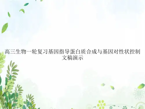 高三生物一轮复习基因指导蛋白质合成与基因对性状控制文稿演示
