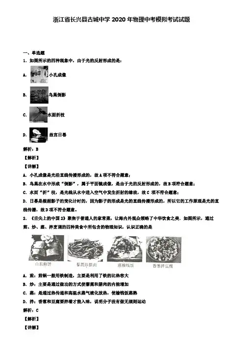 浙江省长兴县古城中学2020年物理中考模拟考试试题(含答案有解析)