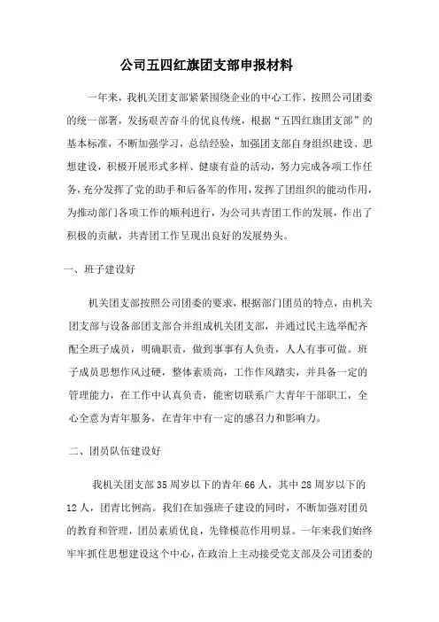 公司五四红旗团支部申报材料