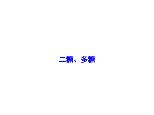 糖类  课件