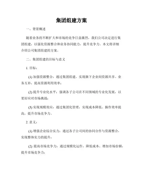 集团组建方案