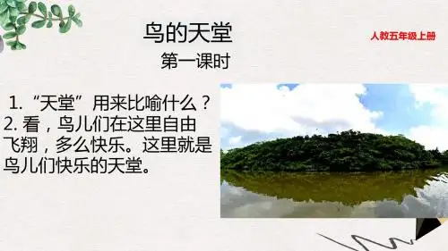 小学教育-人教部编版小学语文五年级上册：23 鸟的天堂(公开课PPT课件)-名师课堂