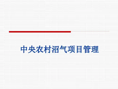 中央农村沼气项目管理