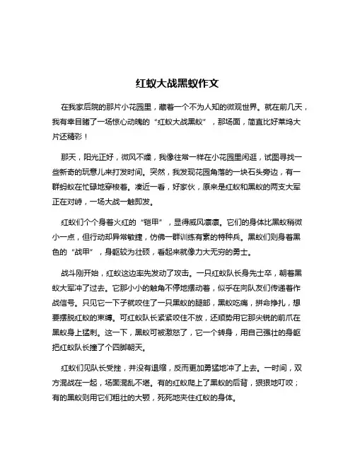 红蚁大战黑蚁作文