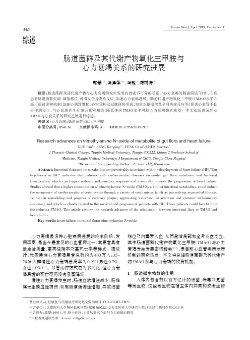 肠道菌群及其代谢产物氧化三甲胺与心力衰竭关系的研究进展