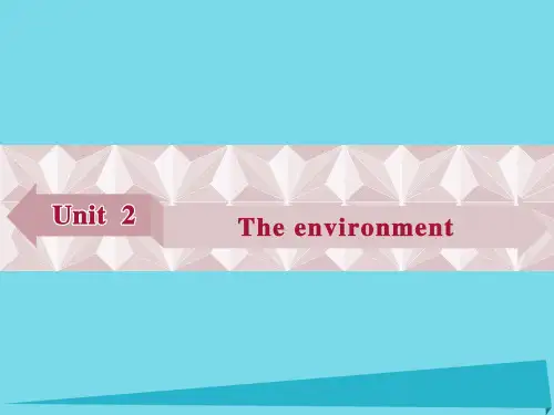 牛津译林版高中英语必修五Unit 2《The environment》ppt练习课件5