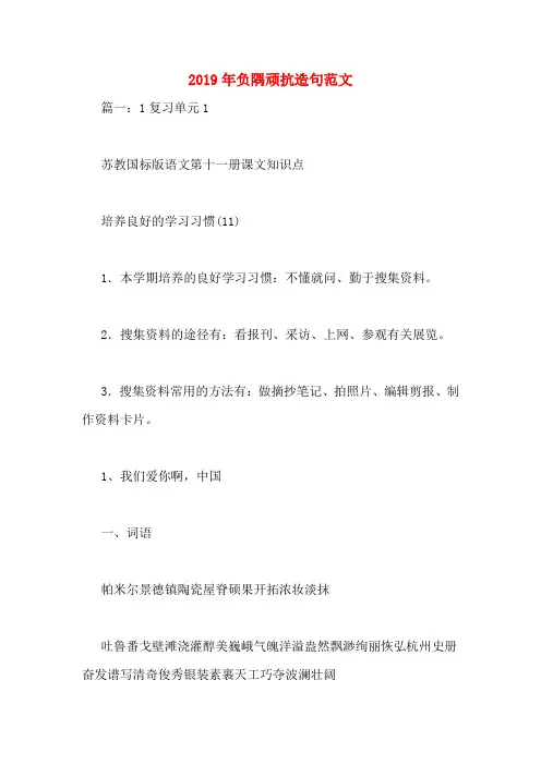 2019年负隅顽抗造句范文