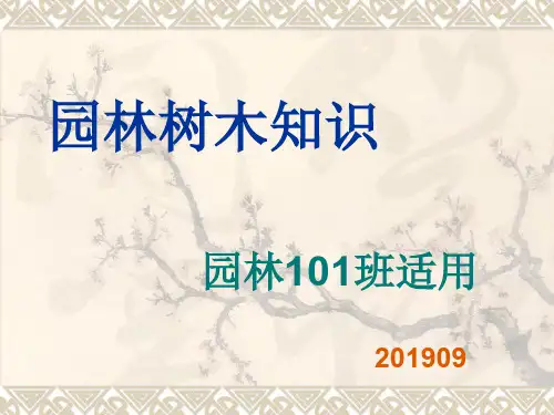1园林树木分类PPT精品文档27页