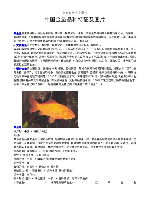 全金鱼种类及图片