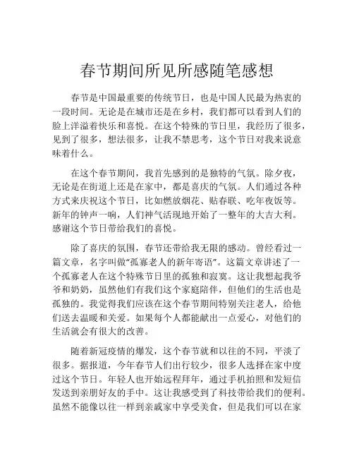 春节期间所见所感随笔感想