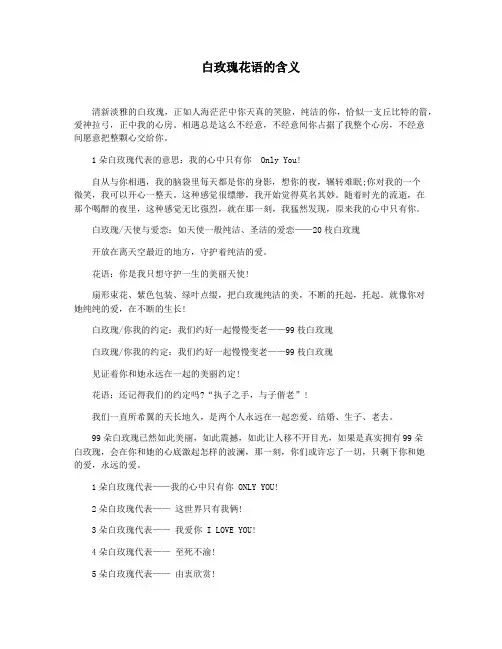 白玫瑰花语的含义