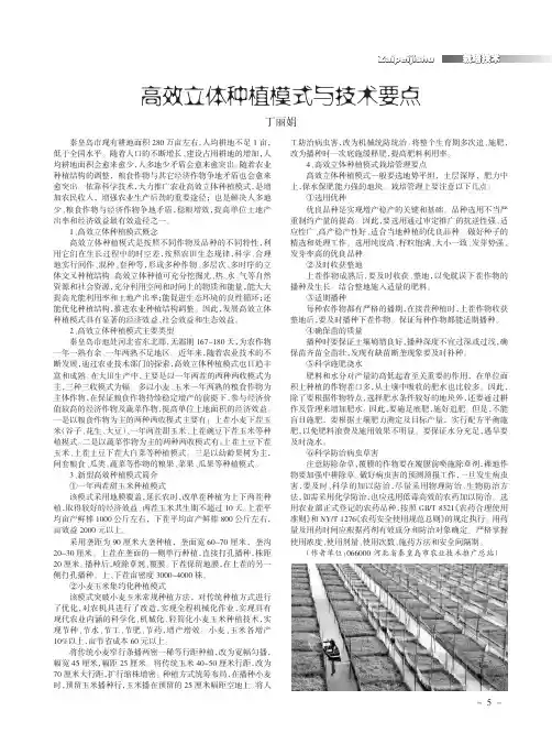 高效立体种植模式与技术要点