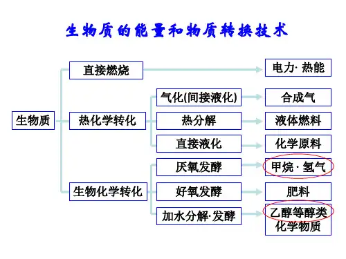 污泥的热解