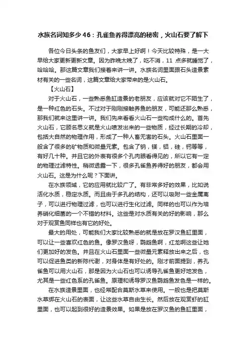 水族名词知多少46：孔雀鱼养得漂亮的秘密，火山石要了解下