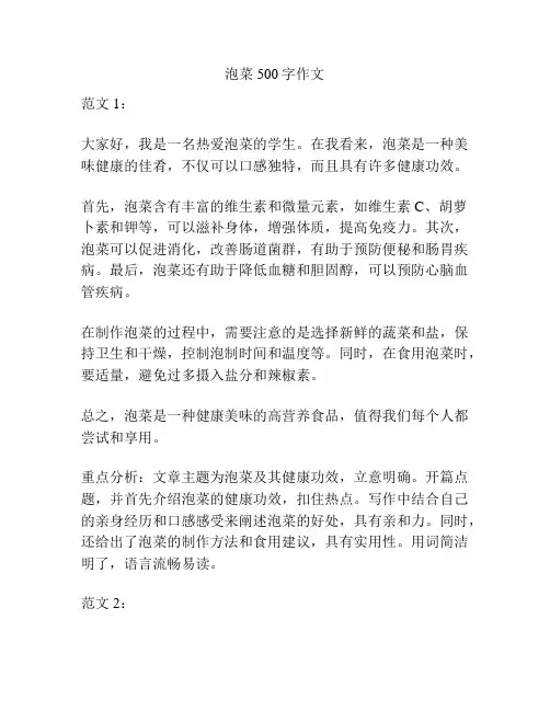 泡菜500字作文