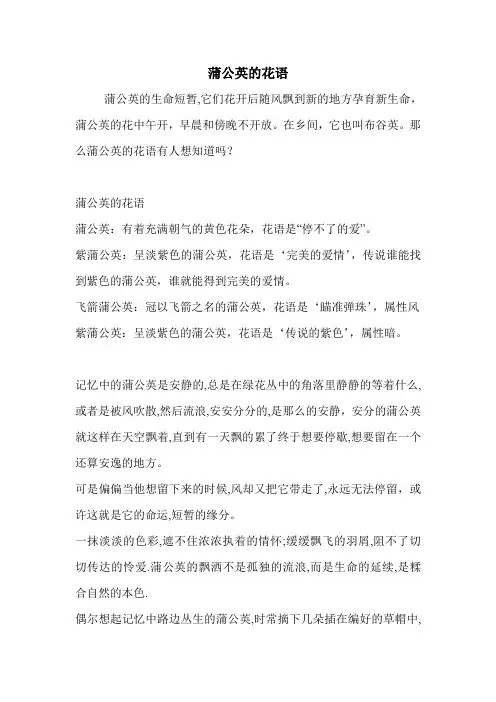 蒲公英的花语.doc