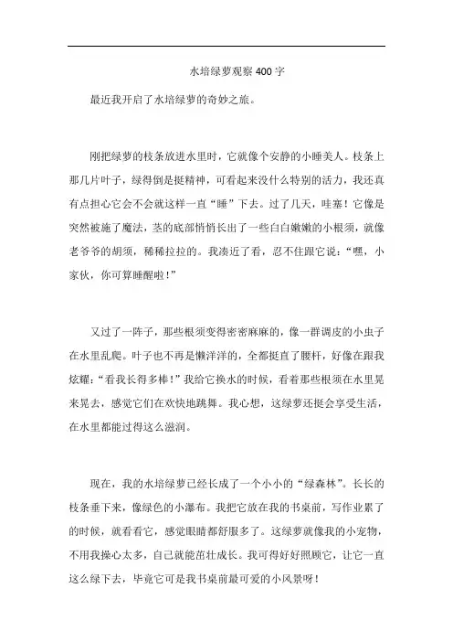 水培绿萝观察400字