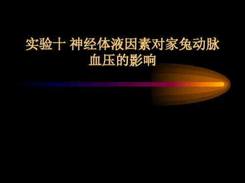 家兔动脉血压调节实验