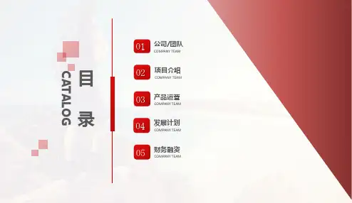 高端商务招商加盟策划书课件ppt模板