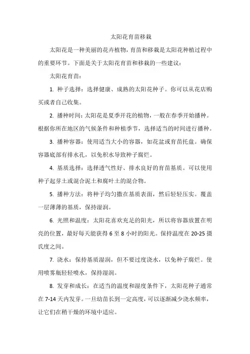 太阳花育苗移栽