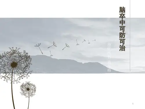脑卒中健康宣教PPT幻灯片