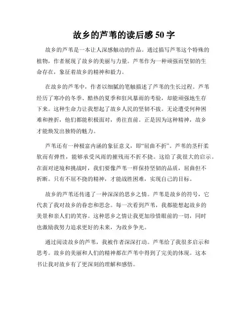 故乡的芦苇的读后感50字