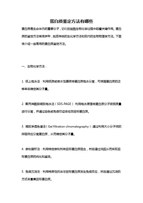 蛋白质鉴定方法有哪些