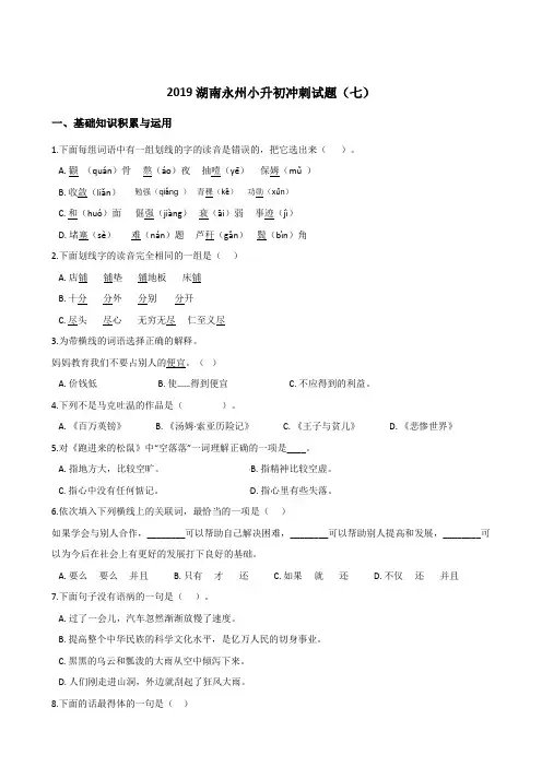 六年级下册语文试题--2019湖南永州小升初冲刺试题(七) 人教新课标 含答案