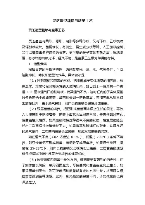 灵芝造型栽培与盆景工艺