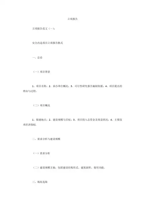 立项报告