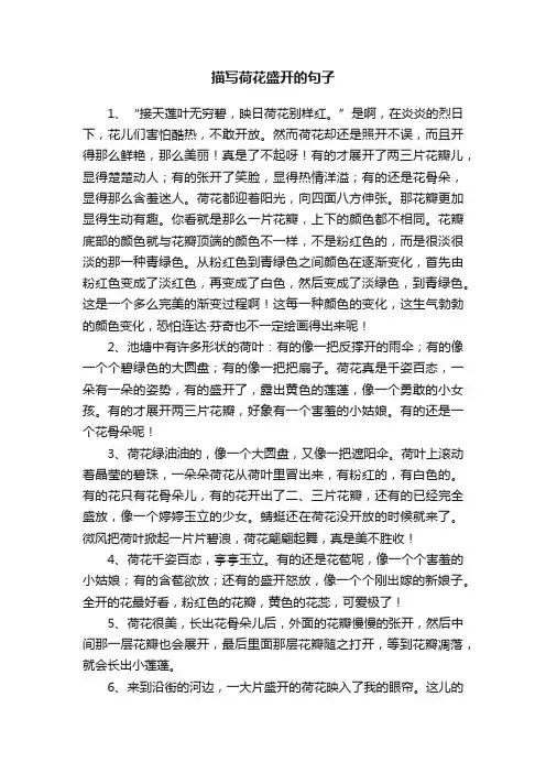描写荷花盛开的句子