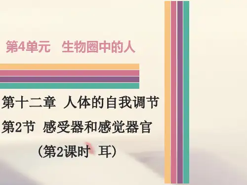 七年级生物下册12.2感受器和感觉器官(第2课时)课件北师大版