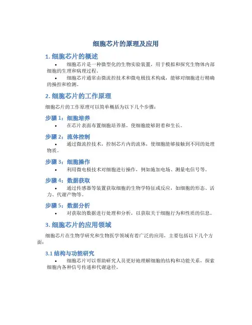 细胞芯片的原理及应用