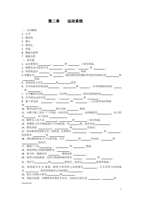 第二章 运动系统