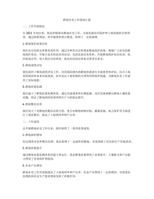 耕地补充工作情况汇报