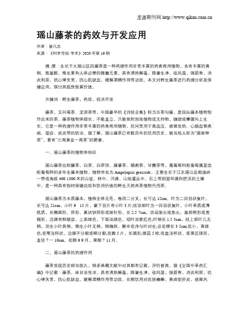 瑶山藤茶的药效与开发应用