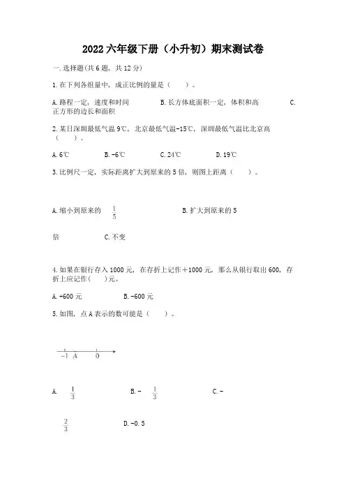 2022六年级下册(小升初)期末测试卷精品(全国通用)