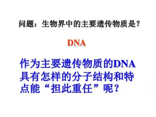 DNA的分子结构和特点