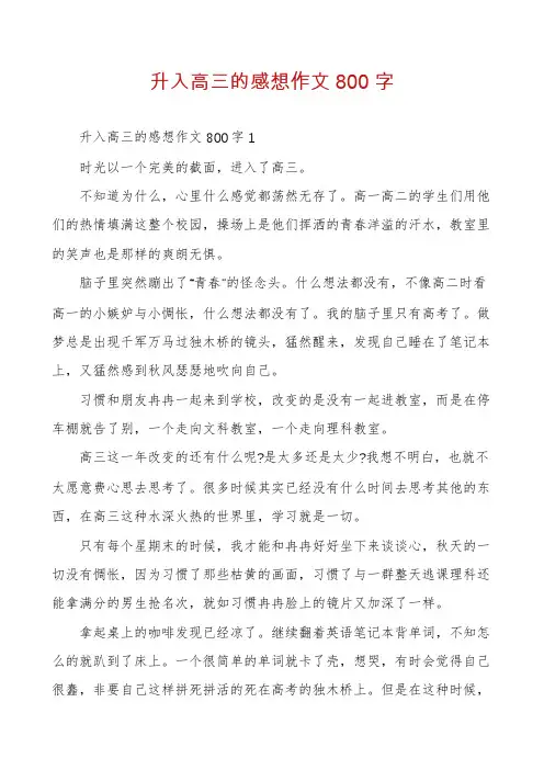 升入高三的感想作文800字