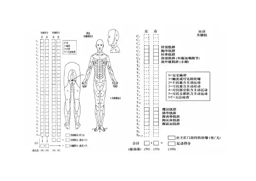 脊髓损伤评定表1