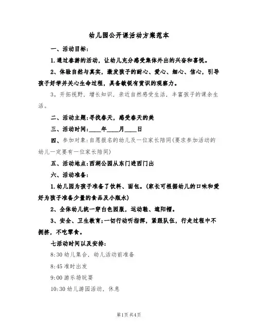 幼儿园公开课活动方案范本(三篇)