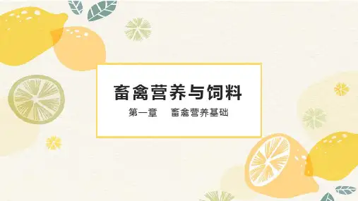 《畜禽营养与饲料》课件：蛋白质的营养作用及非蛋白氮的利用
