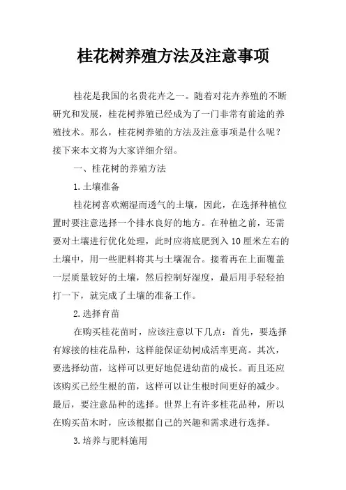 桂花树养殖方法及注意事项