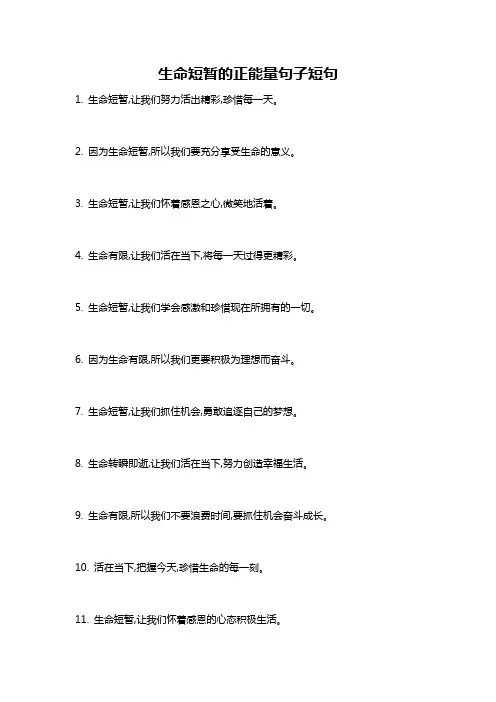 生命短暂的正能量句子短句