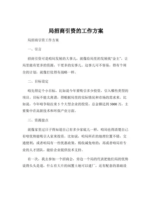 局招商引资的工作方案