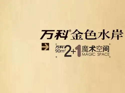 宁波万科金色水岸90(2+1)推介070813