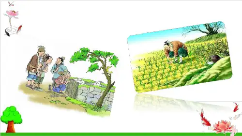 【部编版】三年级下册语文《守株待兔》精品课件